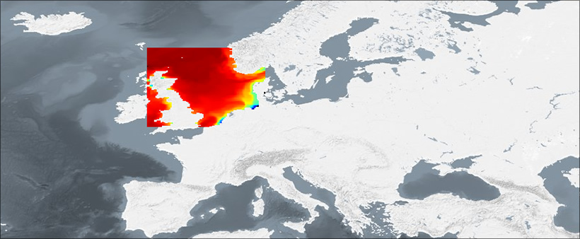 A map from the Marine Operation Ecology data portal, showing data of adult cod in the North Sea.