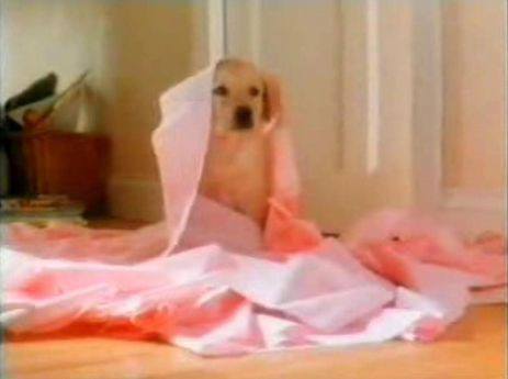 Still of a puppy from Andrex's 1994 TV advert.