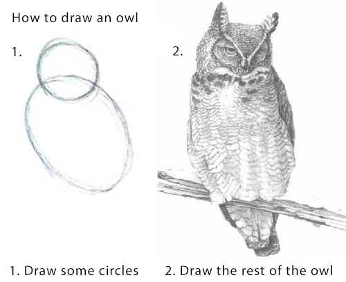 Two pictures demonstrating how to draw an owl. The first picture is of two circles, the second is a detailed drawing of an owl.