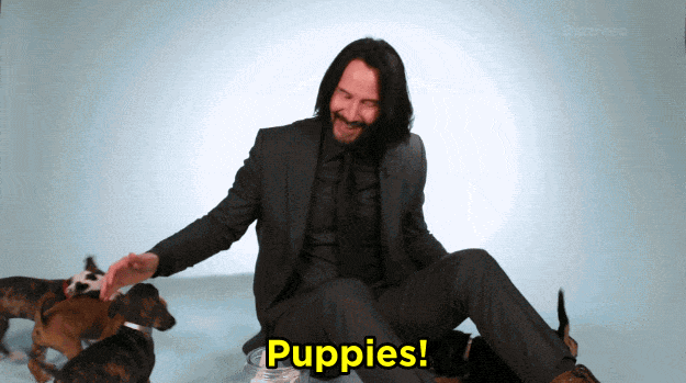 Keanu excited about puppies.