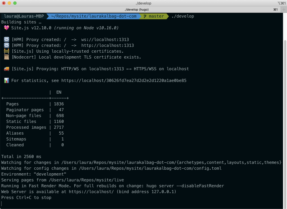 screenshot of my Terminal showing Site.js’s status messages followed by Hugo’s status messages.